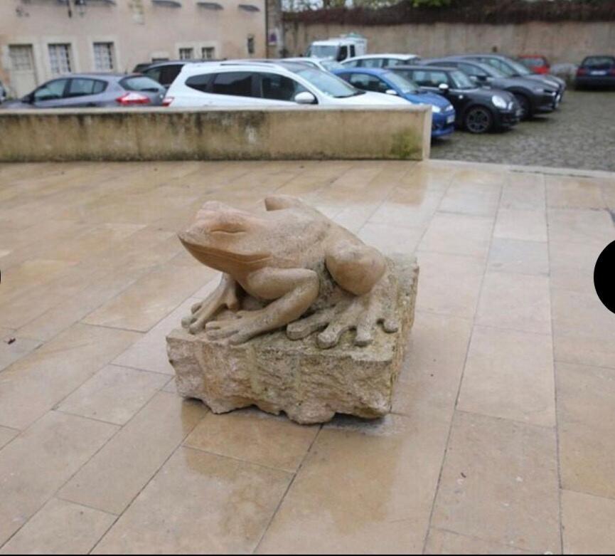فيلا "La Grenouille" Centre Historique - Les Terres Du Roy أفالو المظهر الخارجي الصورة